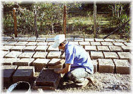 Making Adobe Bricks, Near La Esperanza, Honduras.